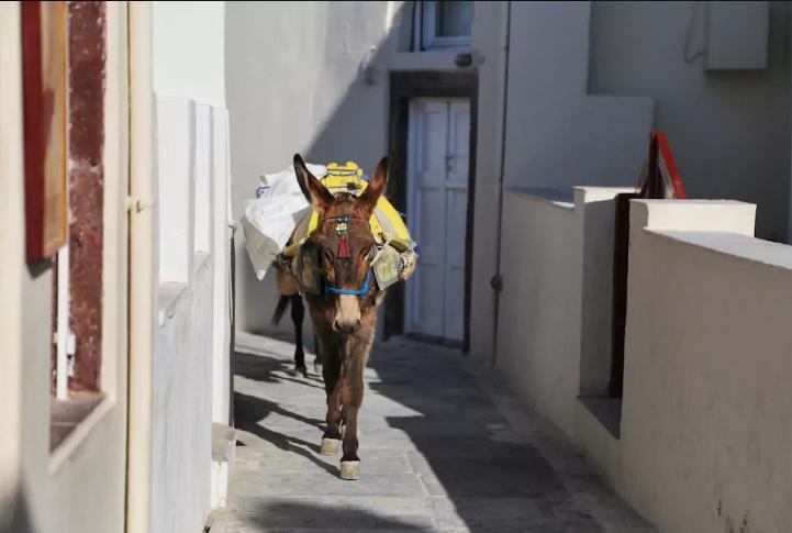Art Riad Au Bord De La Mer El Jadida Kültér fotó